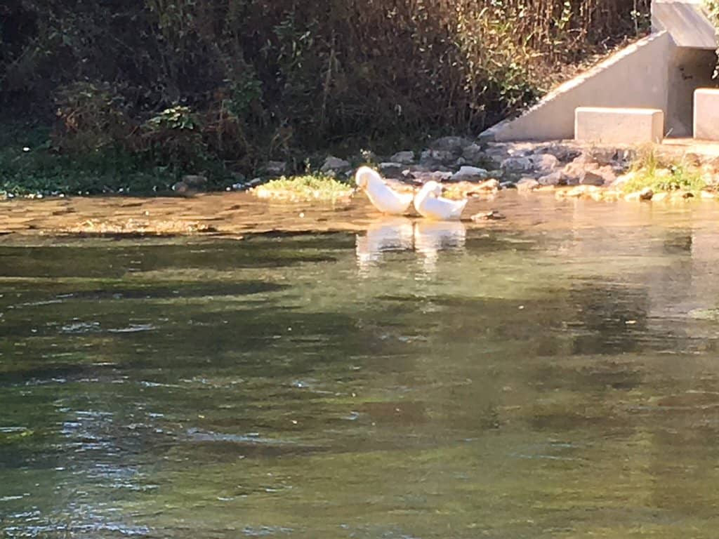 Sewell Park Serenity