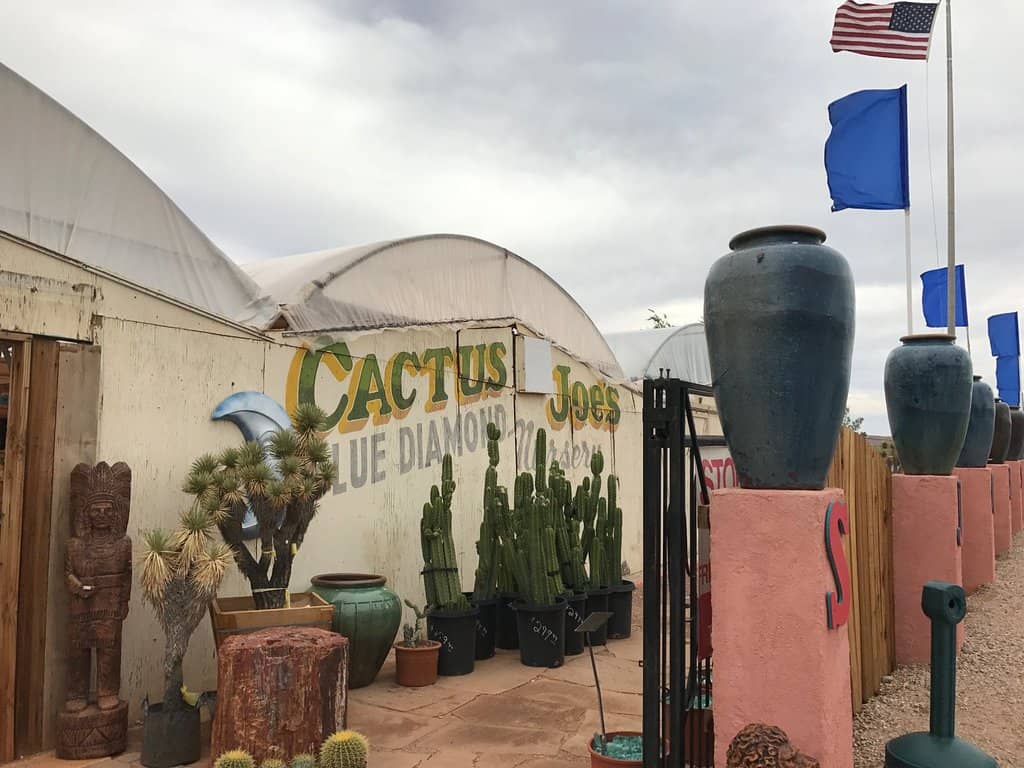 Native Desert Plants