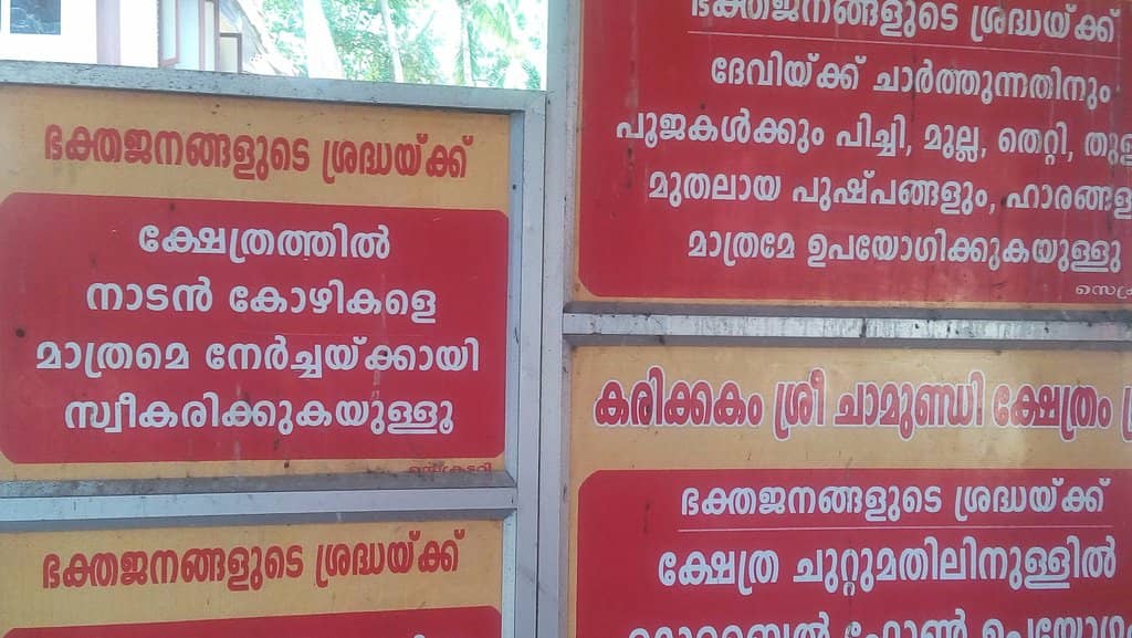 Ancient Architecture & Ambiance