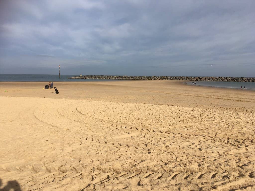 Amusement Arcades & Cafes