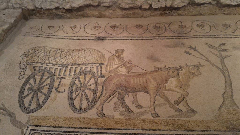 Knowledgeable Guides