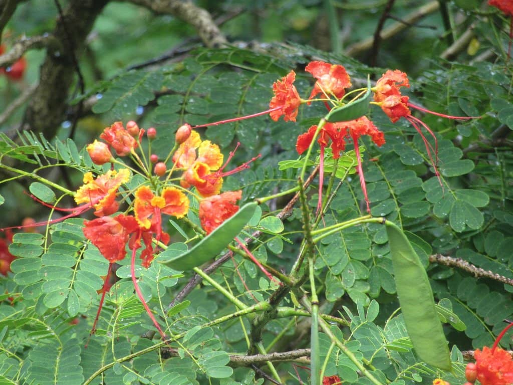 Breathtaking Ocean Vistas
