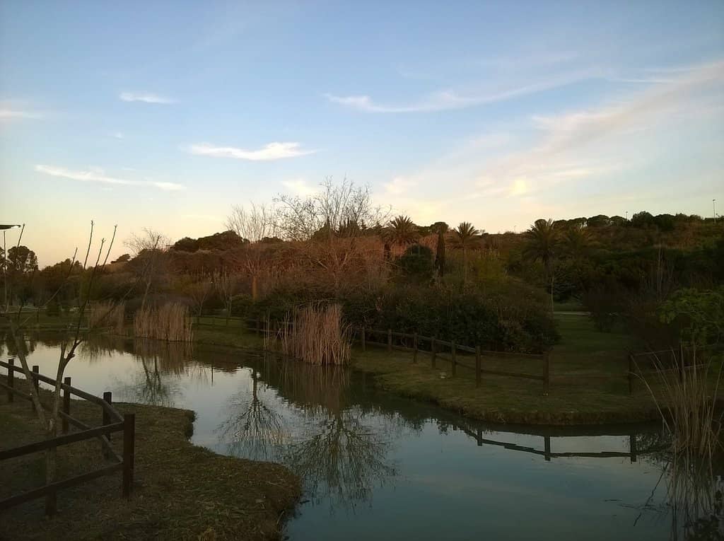 Summer Festivals & Music