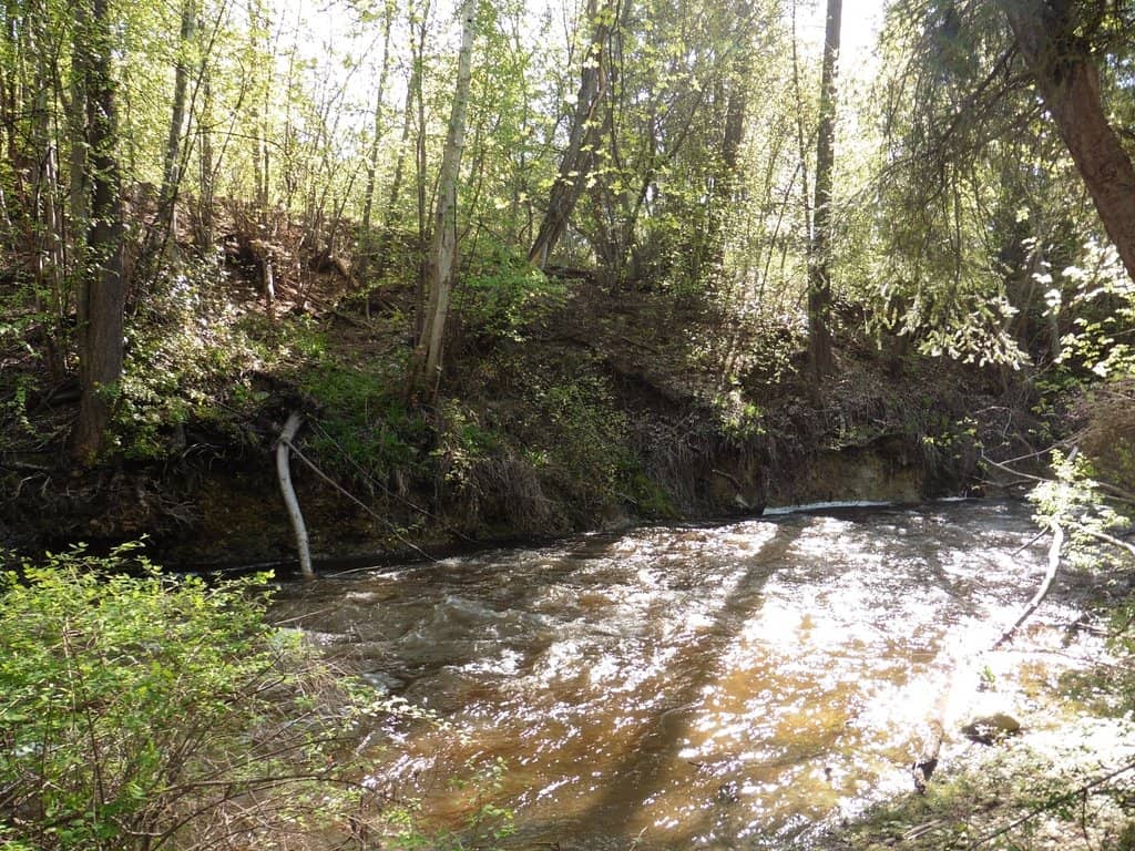 The Staircase Challenge