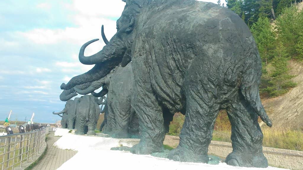 Avenue of Military Glory