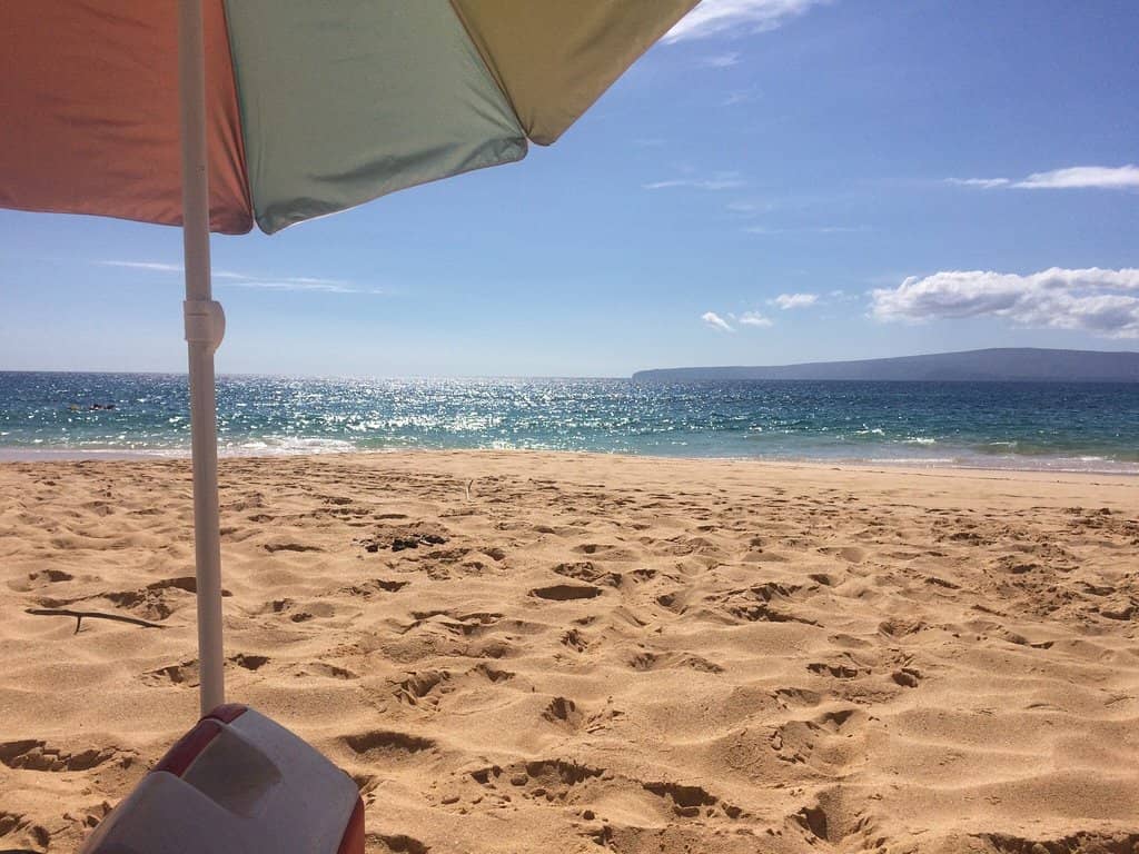 Dramatic Shore Break