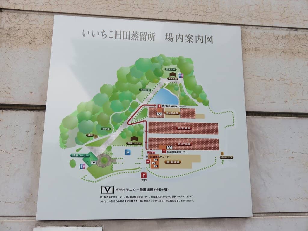 Concert Performances