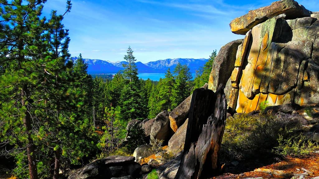 California-Nevada Border Crossing