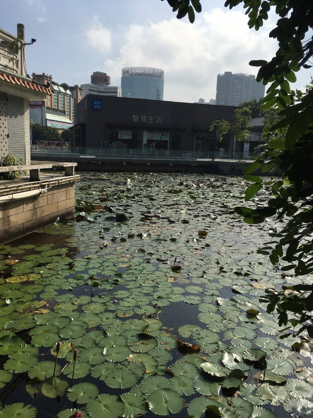 Regional History Exhibits