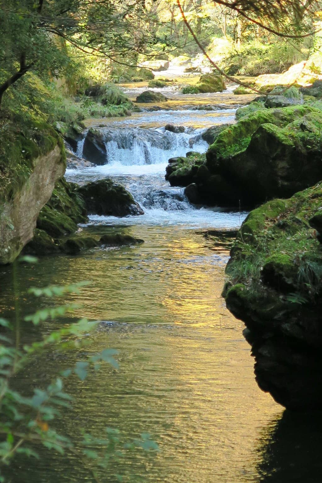 Interactive Experiences