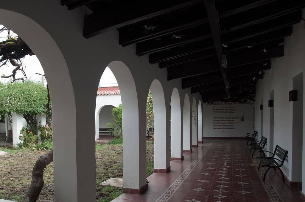 Artistic Exhibitions