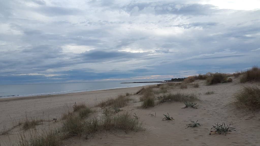 Beachside Relaxation