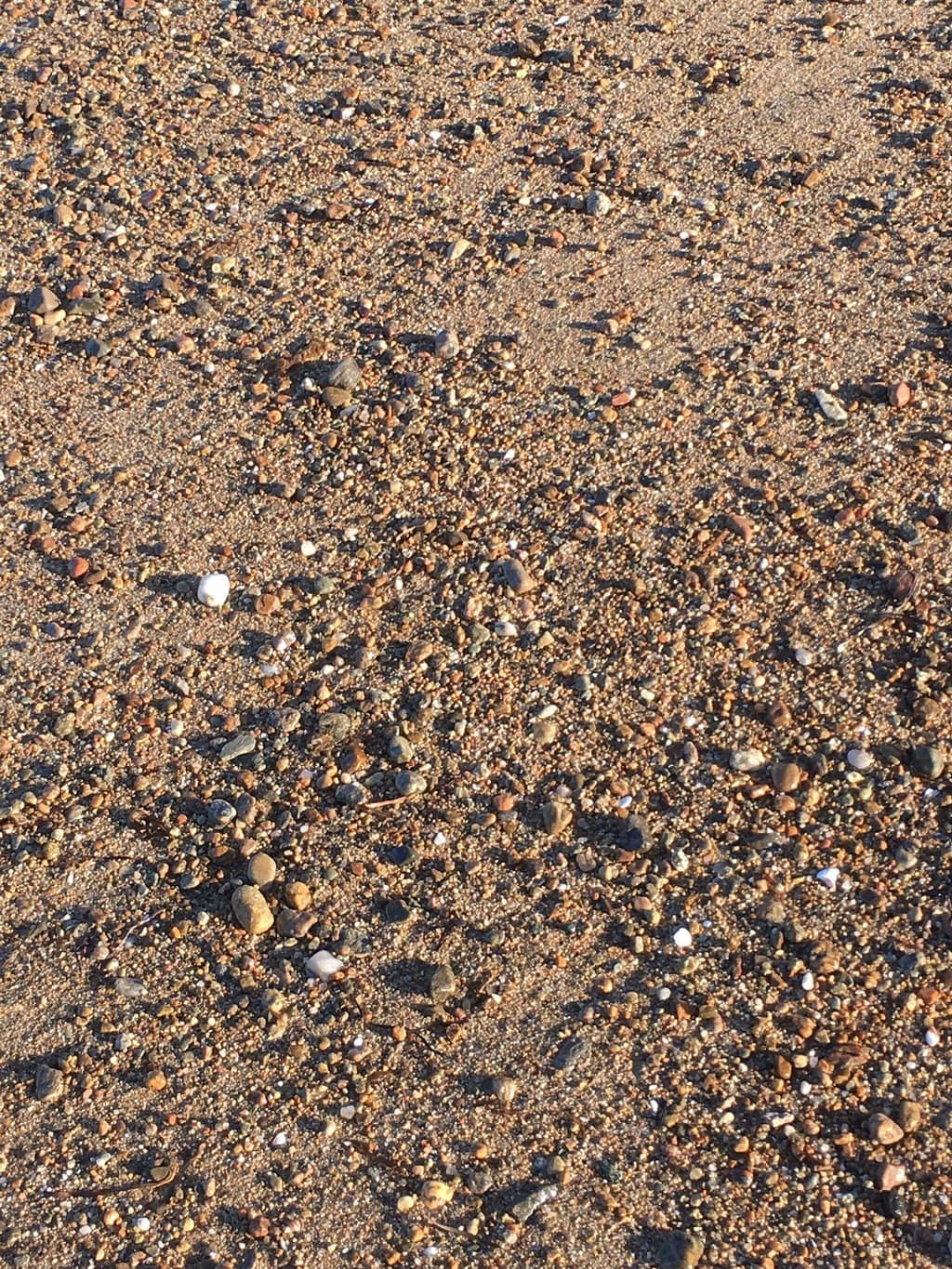 Bioluminescence Magic