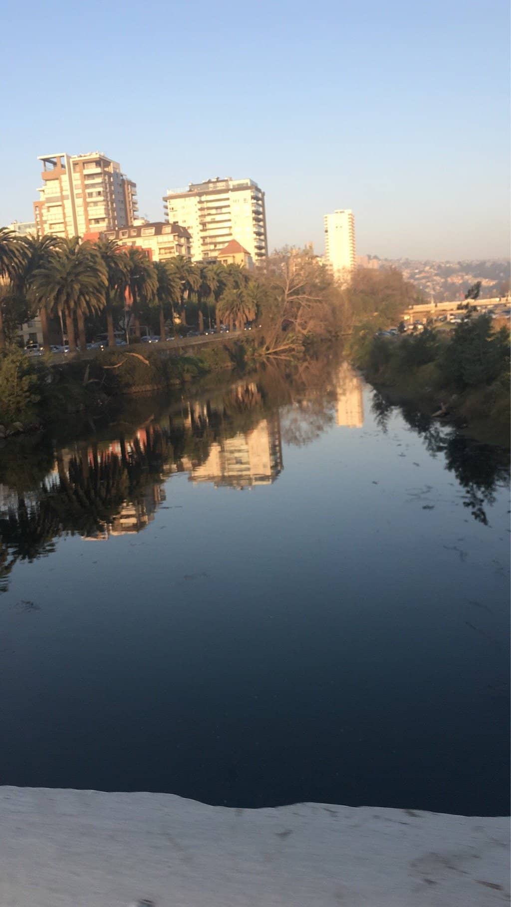 Urban Oasis Views