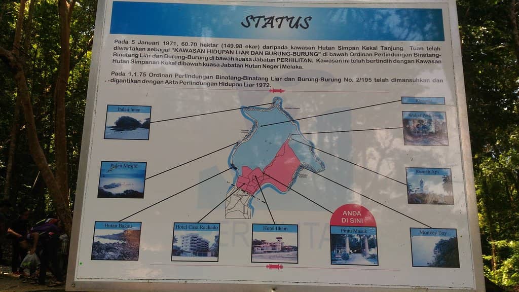 Forest Hiking Trails