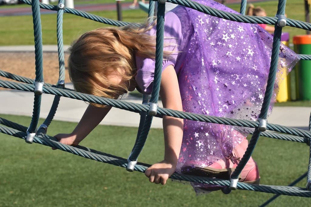 Scenic Walking Trails