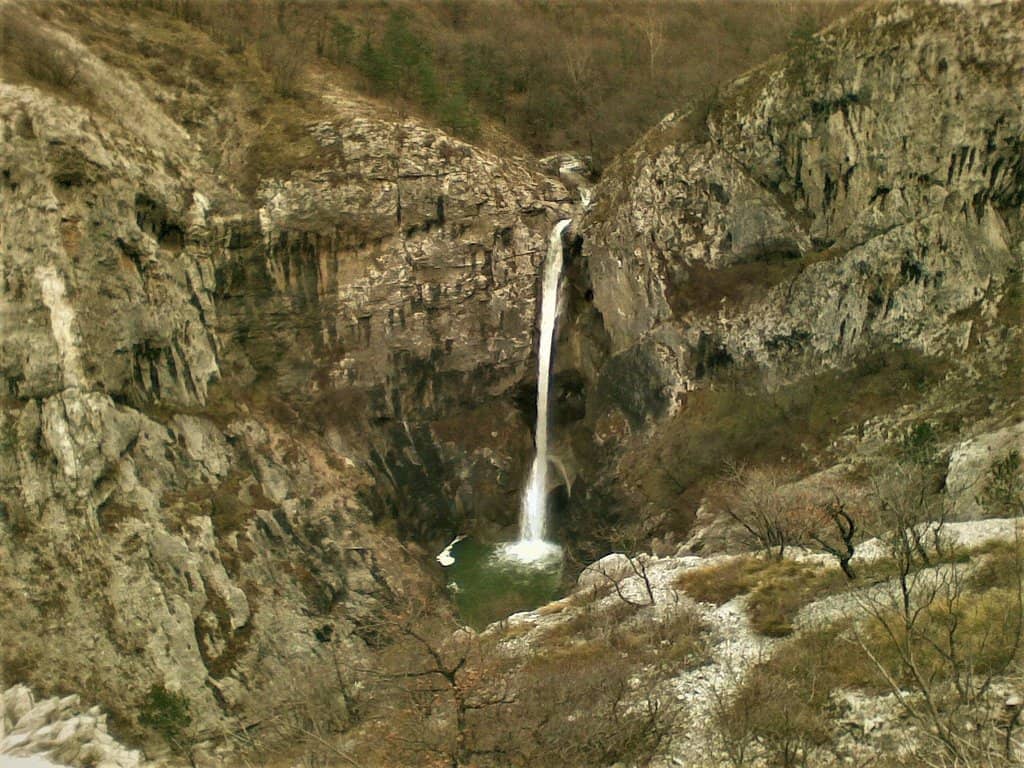 Vertical photo