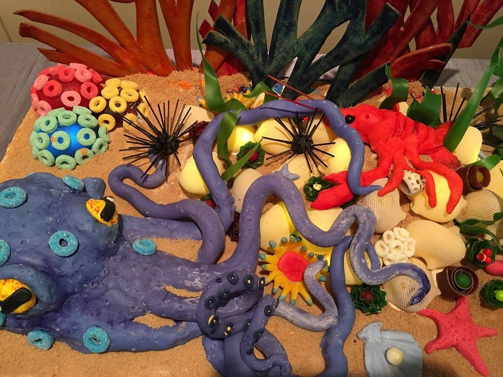 Tribute Band Concerts