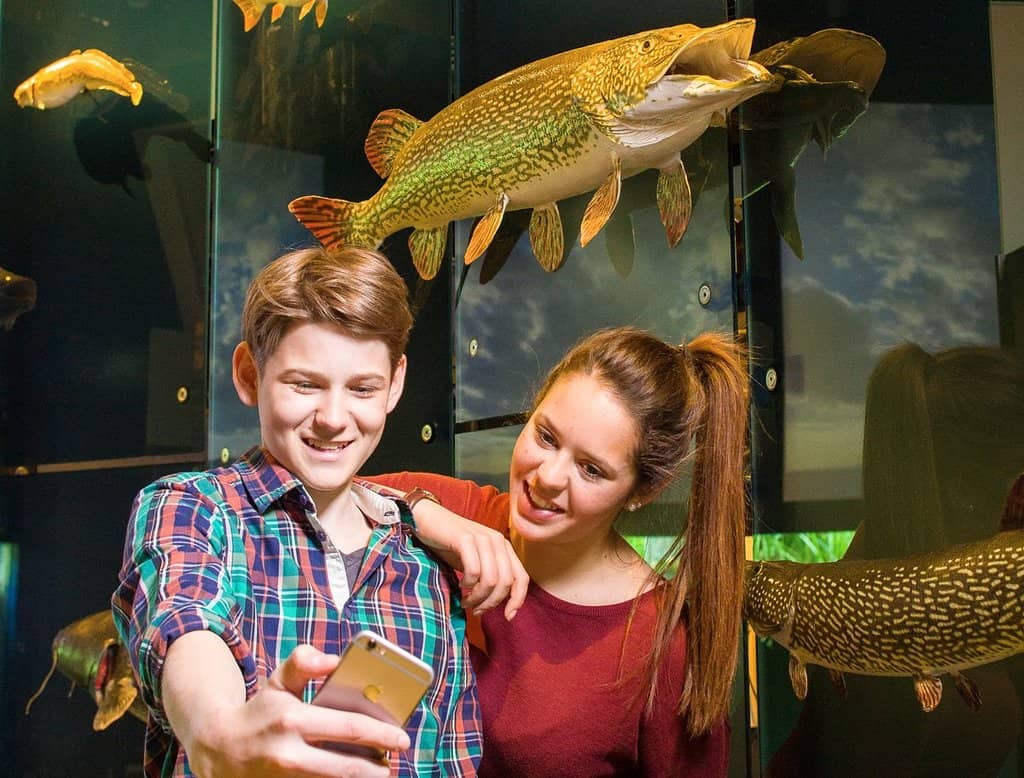 Hands-On Nature Exhibits