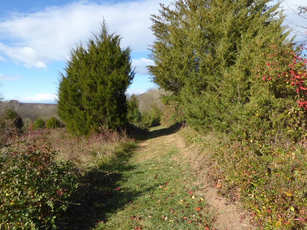 Extensive Trail Network