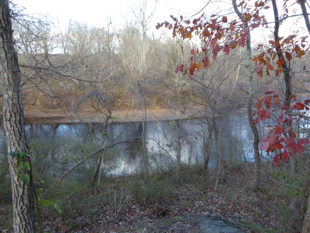 Nature-Scape Exploration Zone