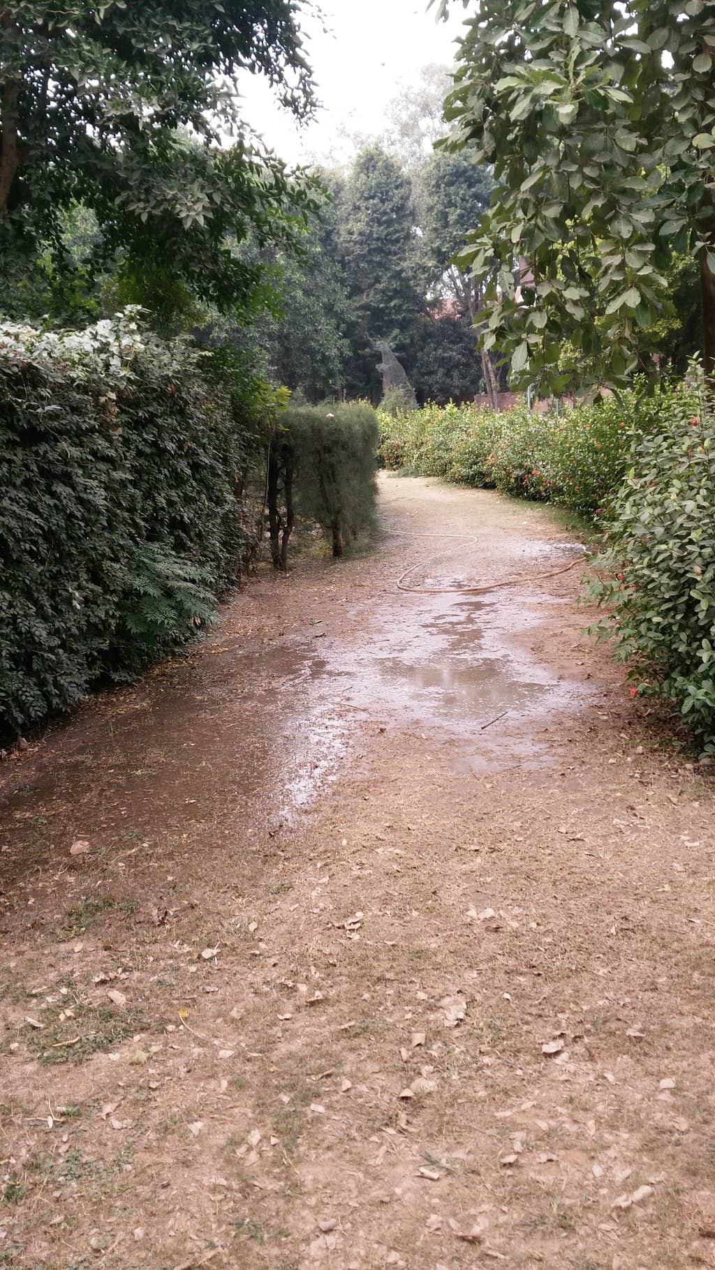 Peaceful Green Lawns