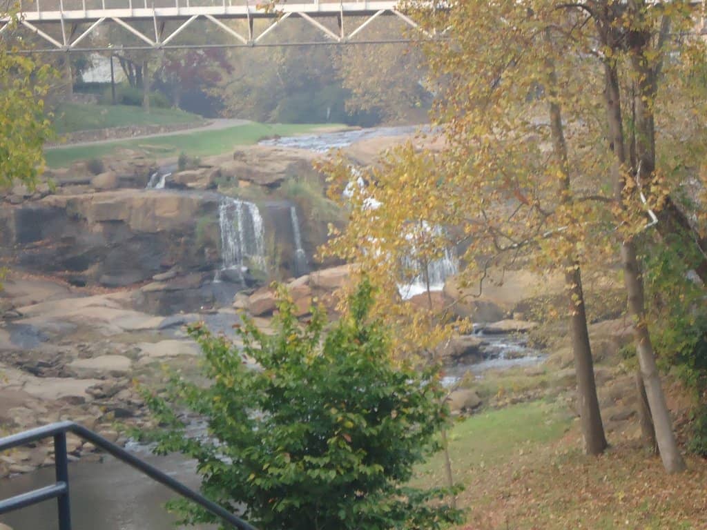 Local Roasteries and Cafes