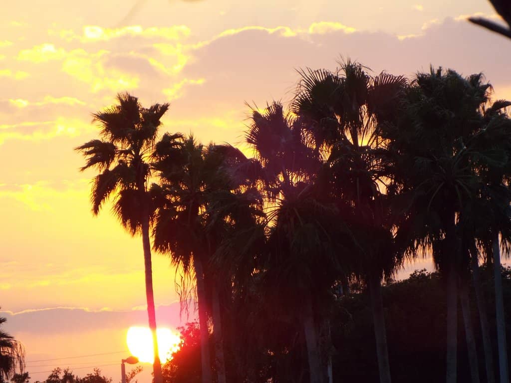 The Marina & Boat Ramp