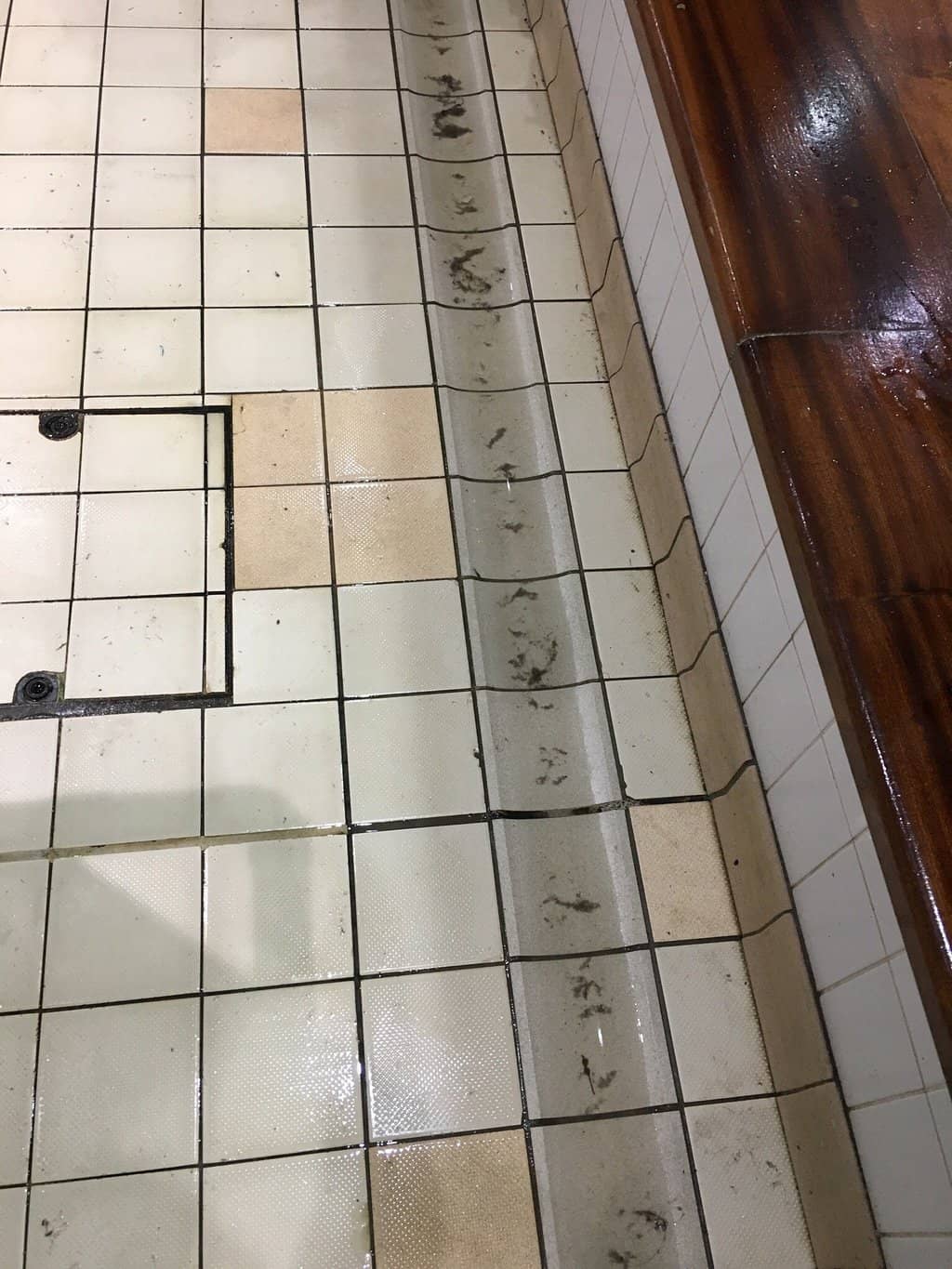 Scenic Walking Paths