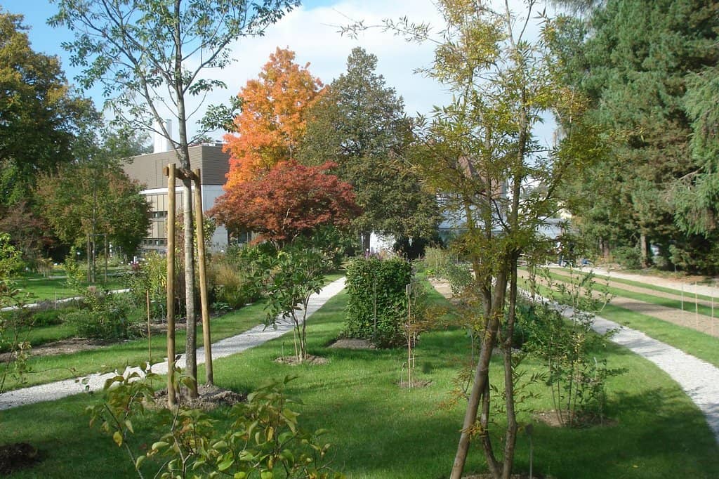 Historical Medical Garden