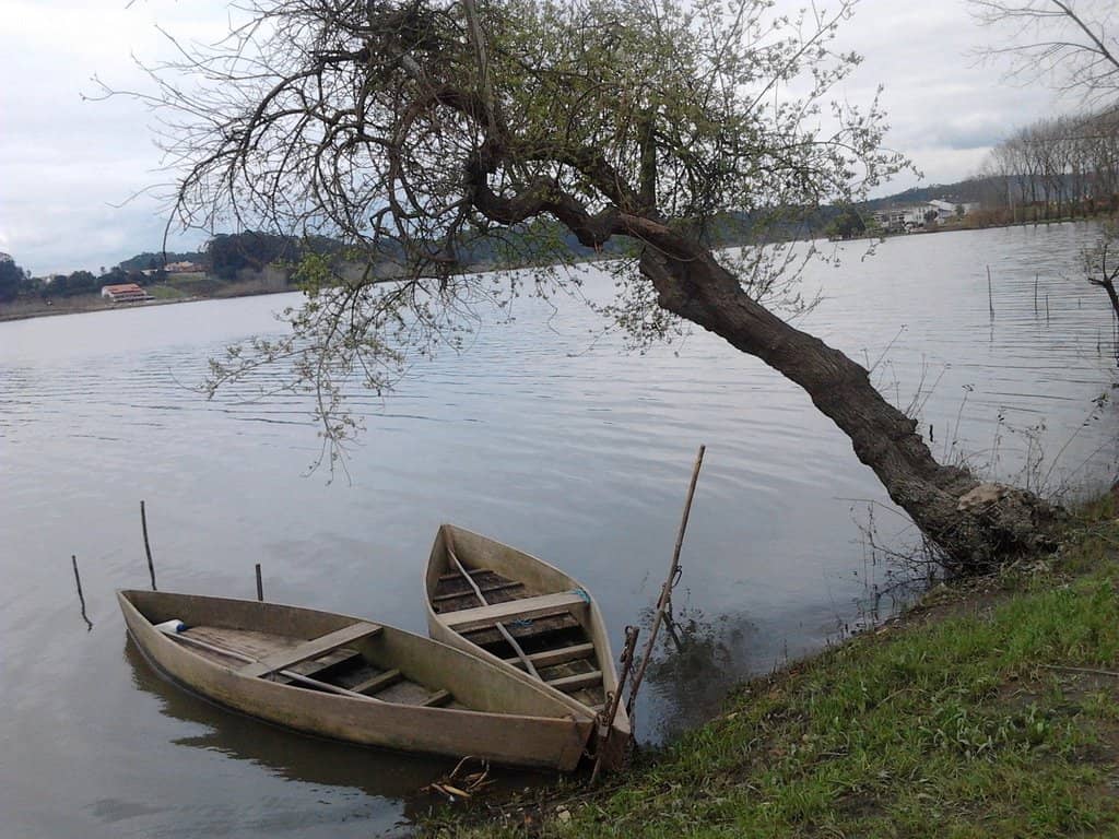 The Vast Lagoon Landscape