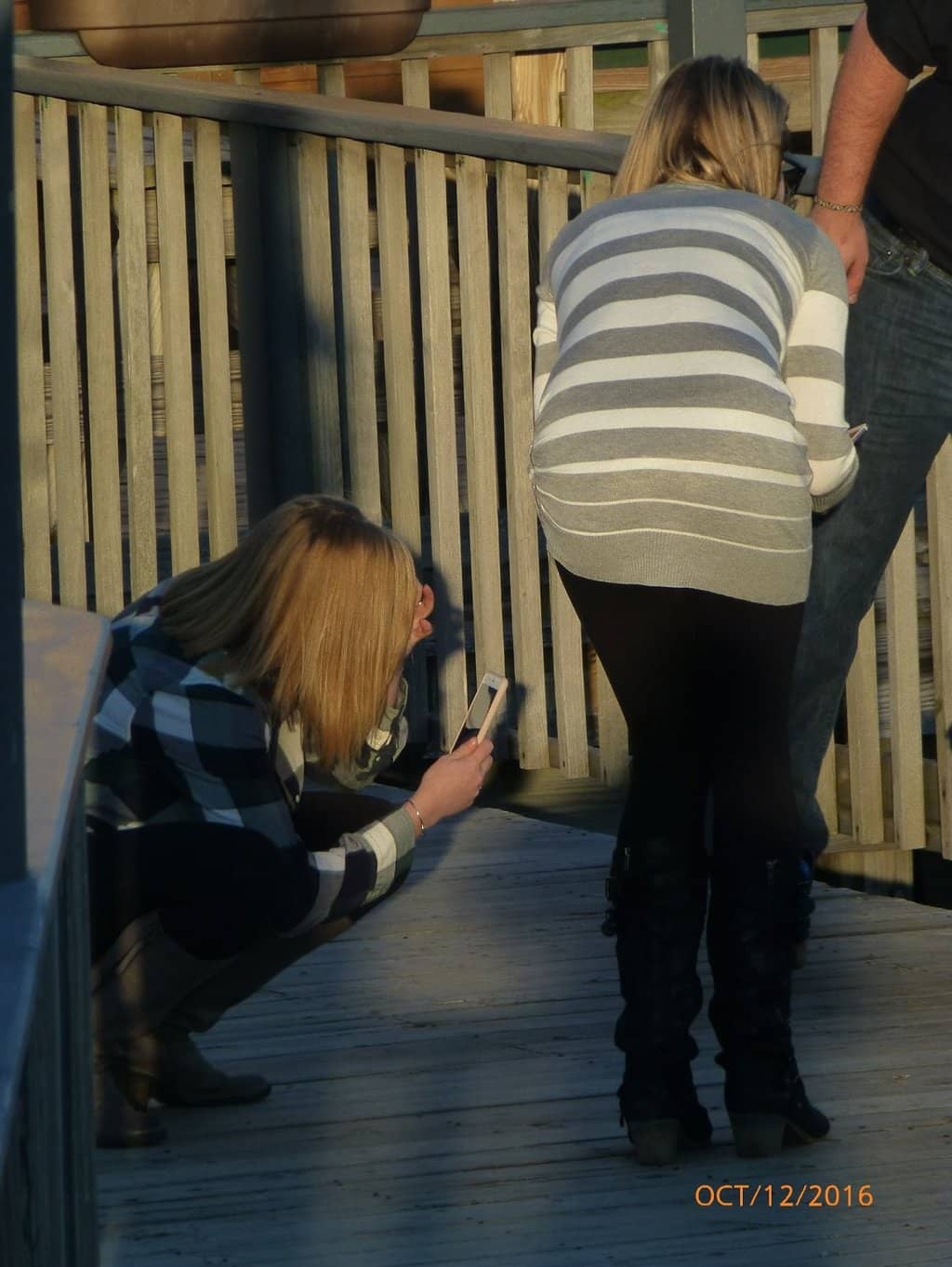 Oakland California Temple Gardens