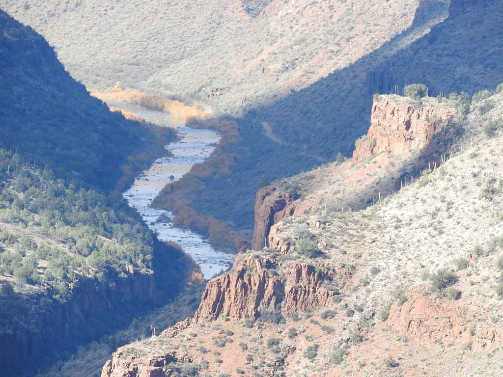 Wild Horse Sightings