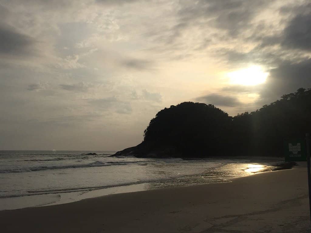 Natural Ice Cream Delight