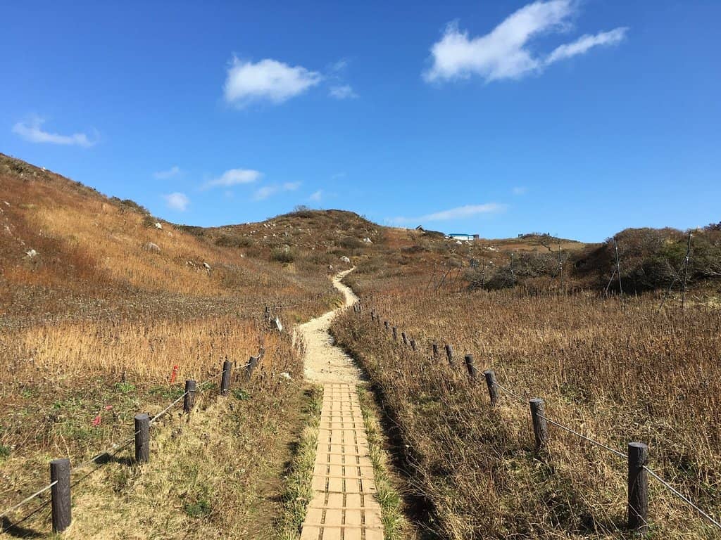 Snowy Slopes (Winter)