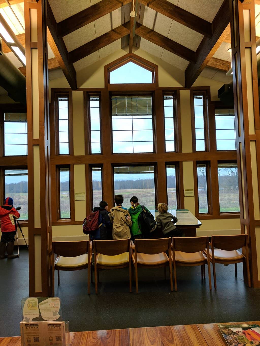 Wetland Exploration