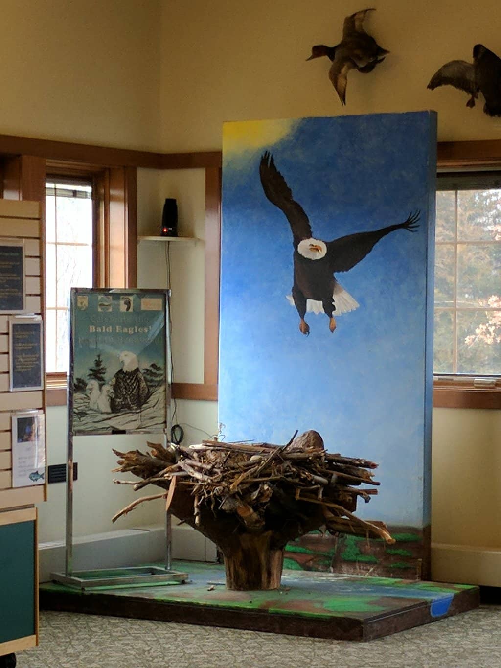 Guided Birding Hikes