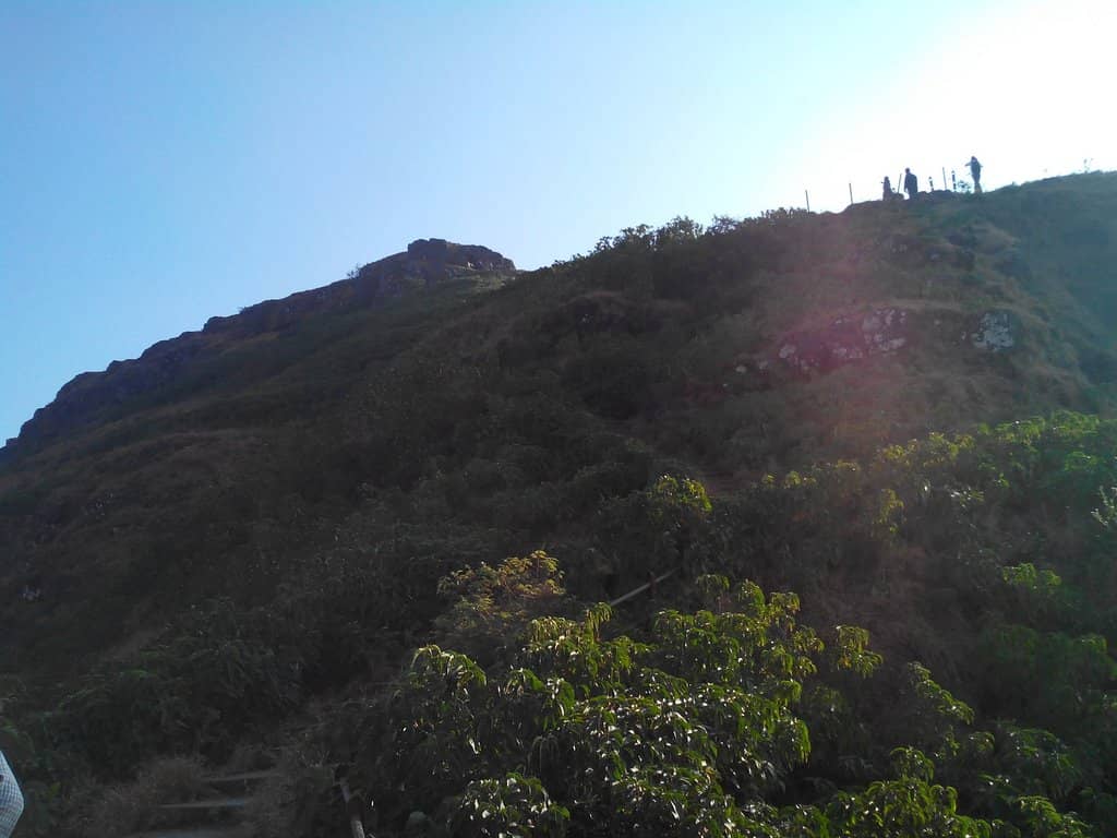 Panoramic Mountain Views