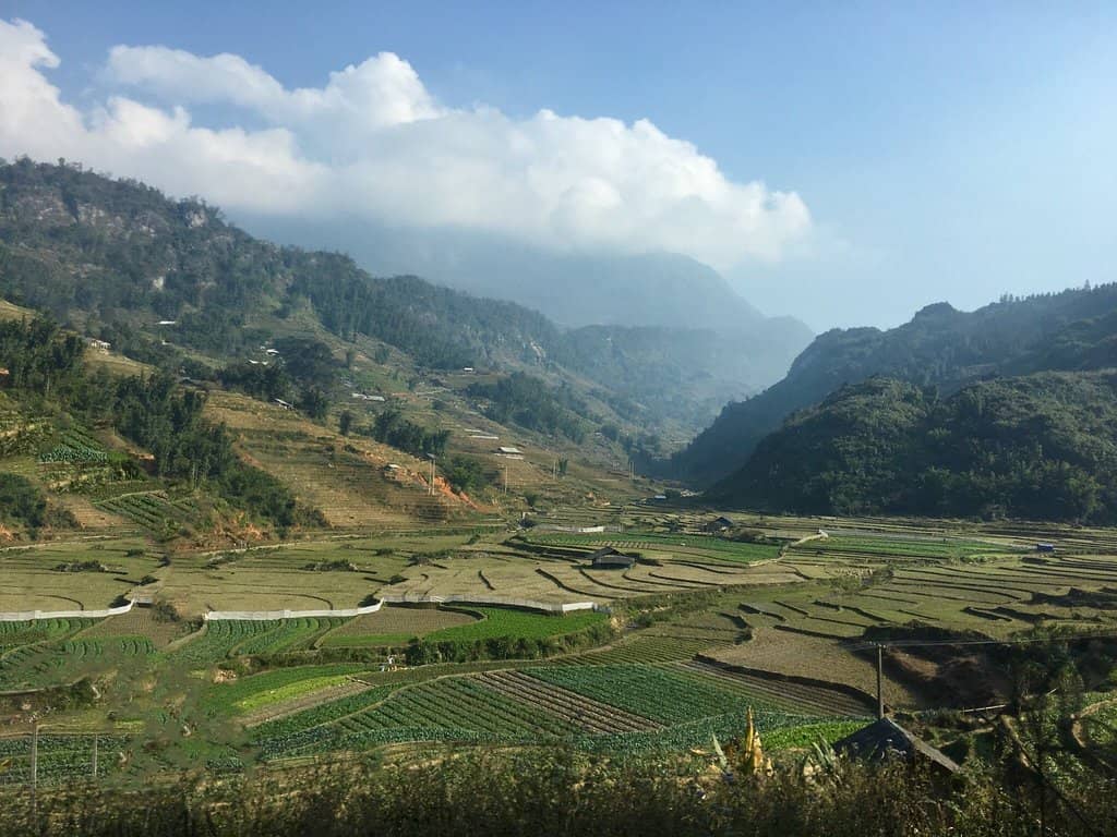 Golden Buddha Statue