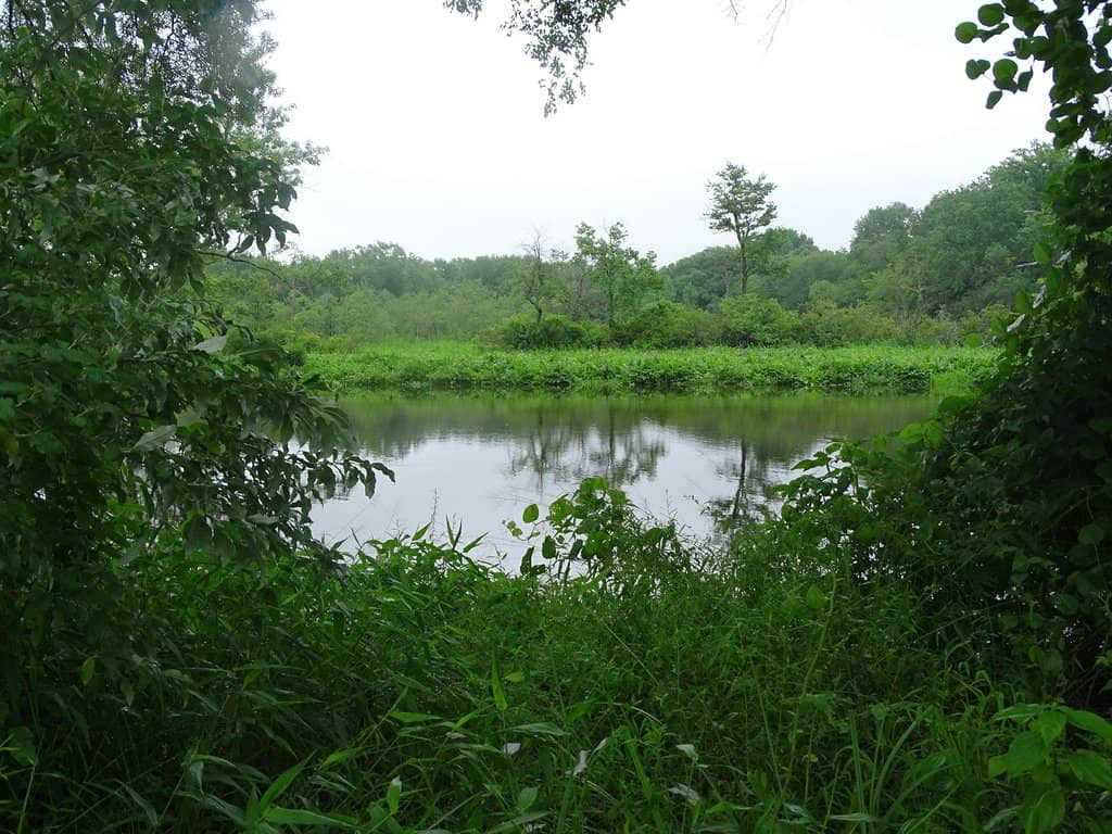 Rancocas Nature Center