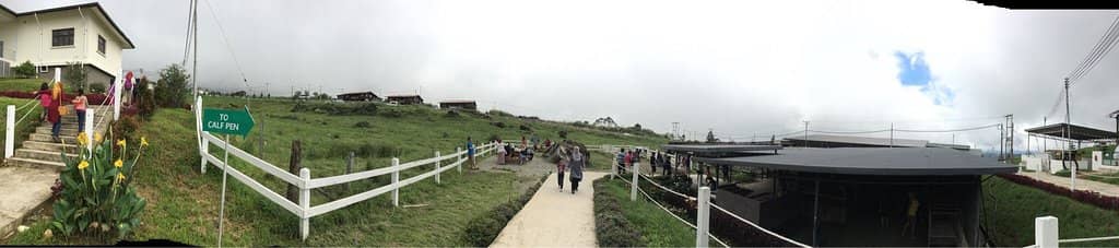 Milking Process Viewing