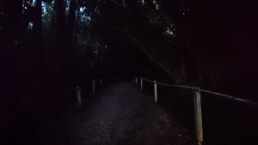 Day vs. Night Experience