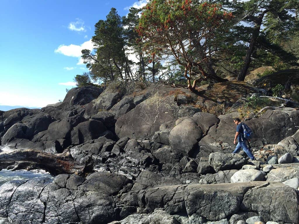 Mossy Coastal Trails