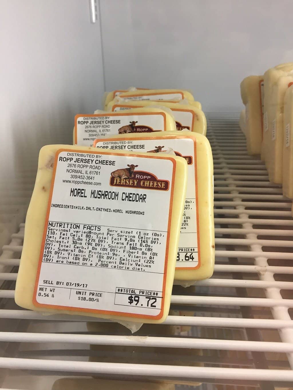 Farm Animal Encounters