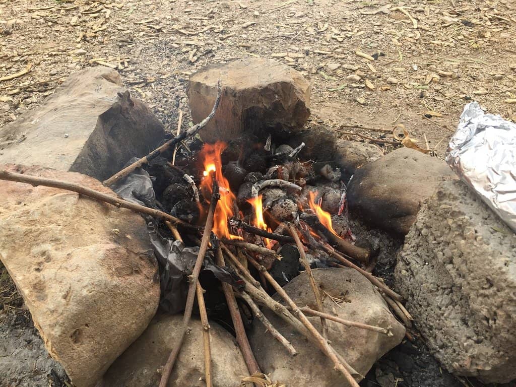 Cycling and Scootering Paths