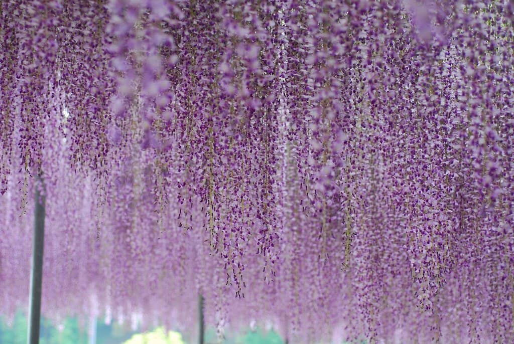 Illuminated Nightscapes