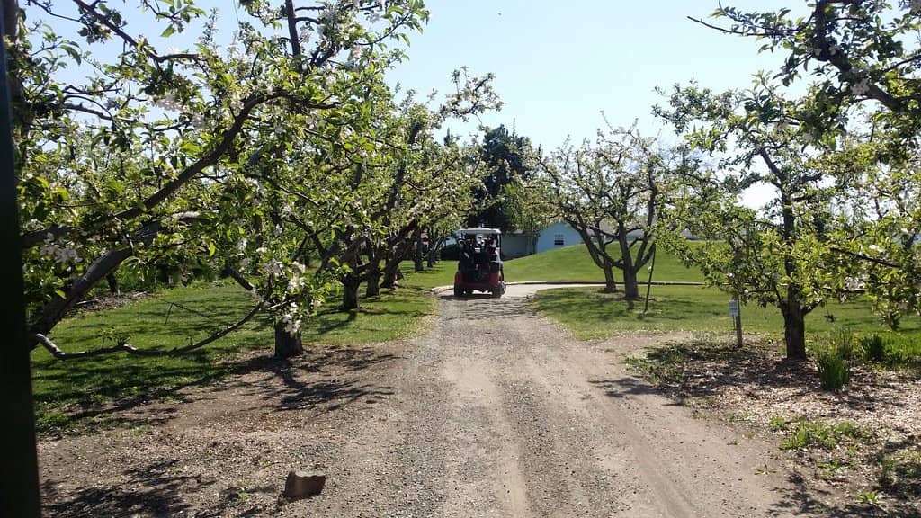 Charming Course Design