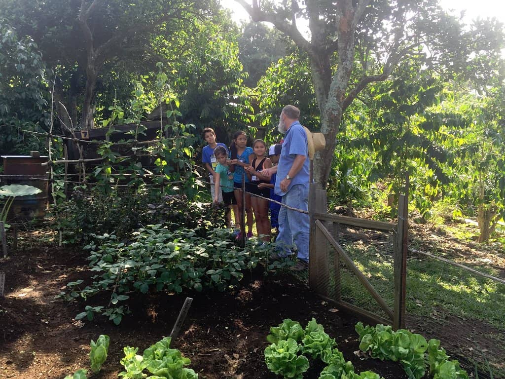 Traditional Coffee Milling