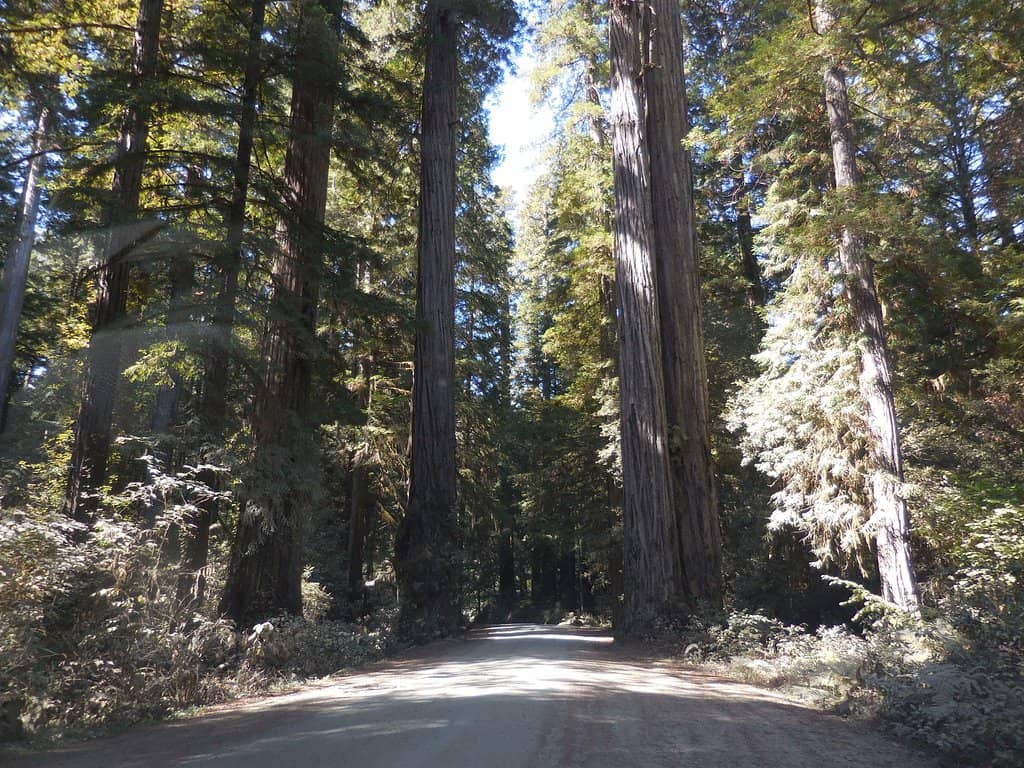 9624 Forest Blvd, California City, CA 93505 | Redfin, image size:1024x768