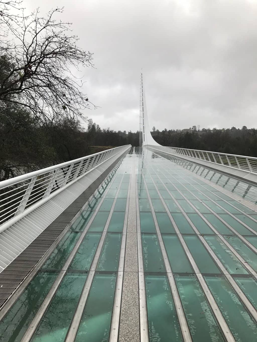 The Sundial Bridge Itself